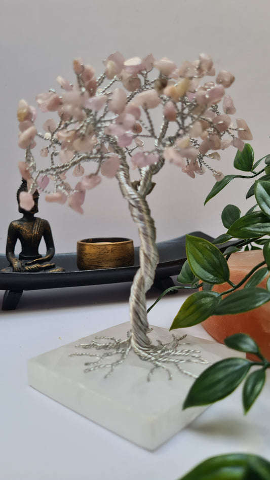 Light pink kunzite crystal tree made with silver wire and a milky white coloured square selenite crystal base. In the background there is a beautiful Buddha statue and a green plant