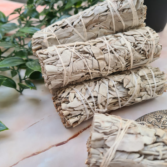 Smudging with Sage: How, When, and Why to Embrace This Ancient Ritual