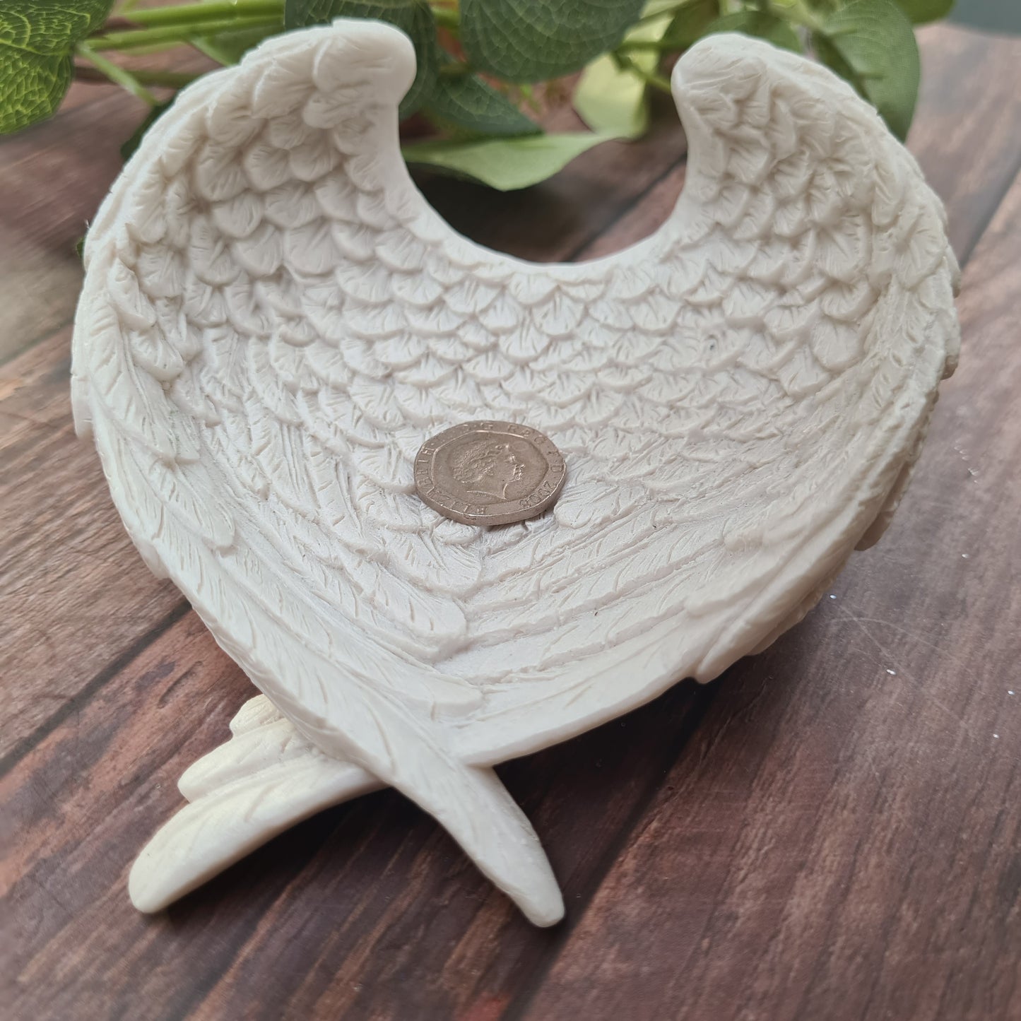 Medium Angel Wing Dish