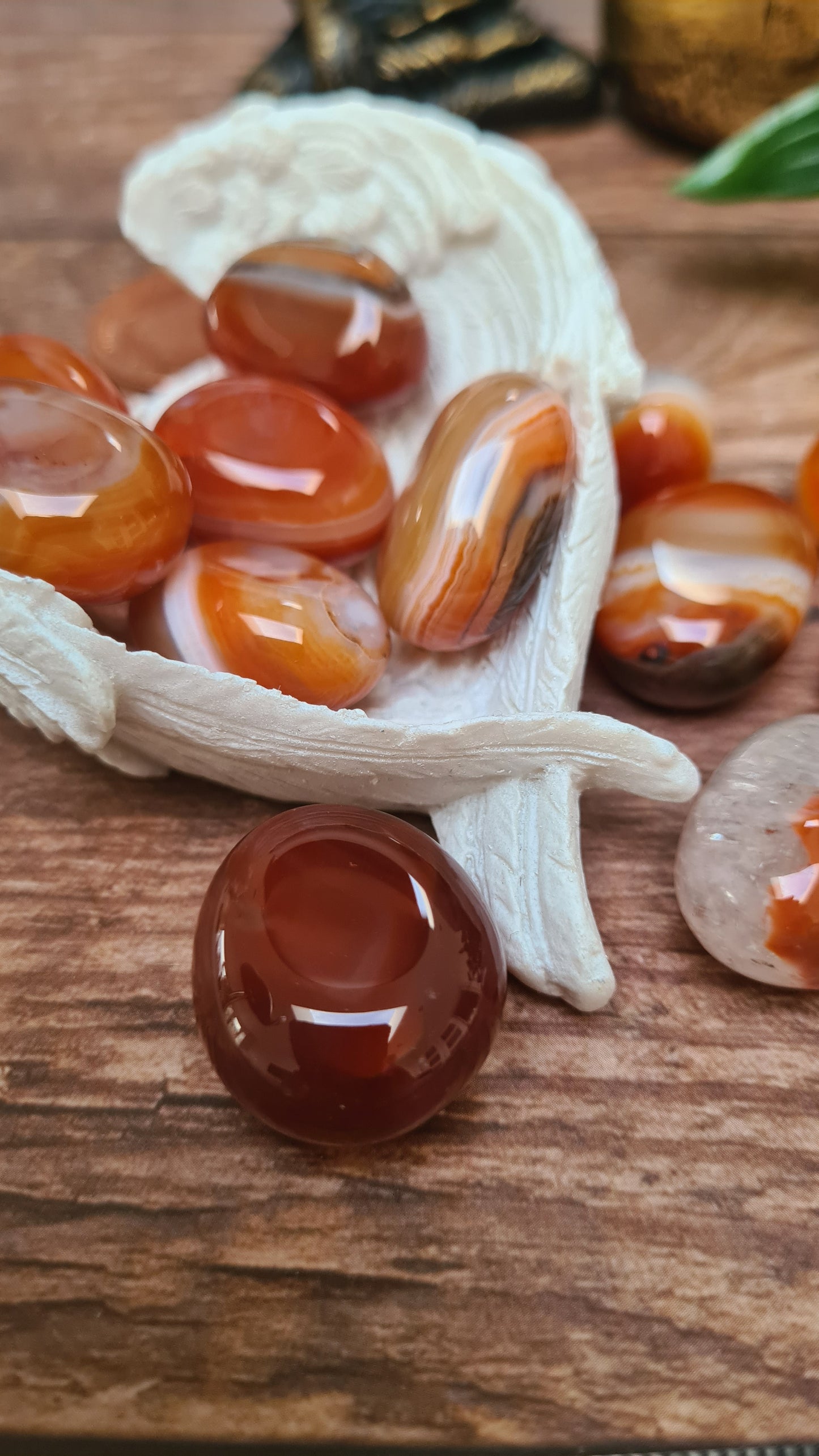 Carnelian - creativity confidence passion