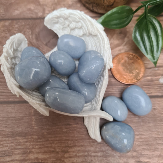 A polished Angelite tumble stone, showcasing its soothing blue color and smooth surface, radiating calmness and tranquility.