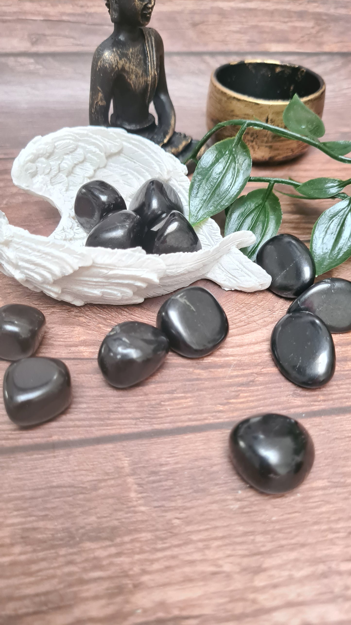 Shungite Tumble Stones