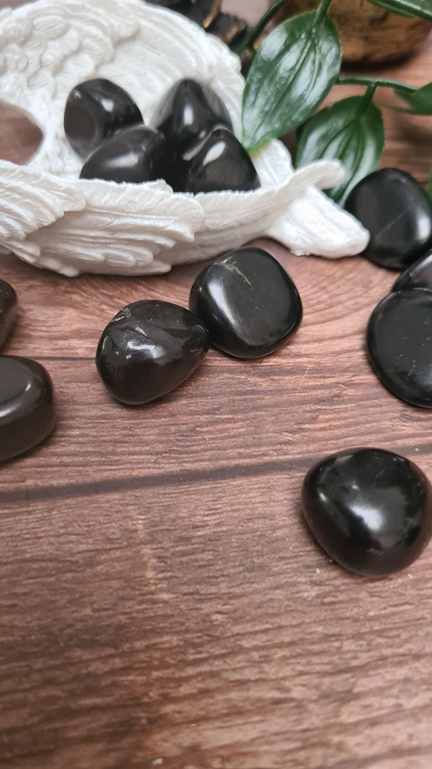 Shungite Tumble Stones