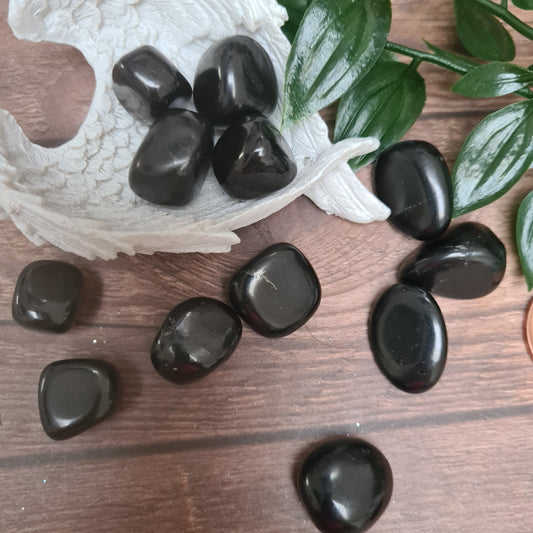 Shungite Tumble Stones