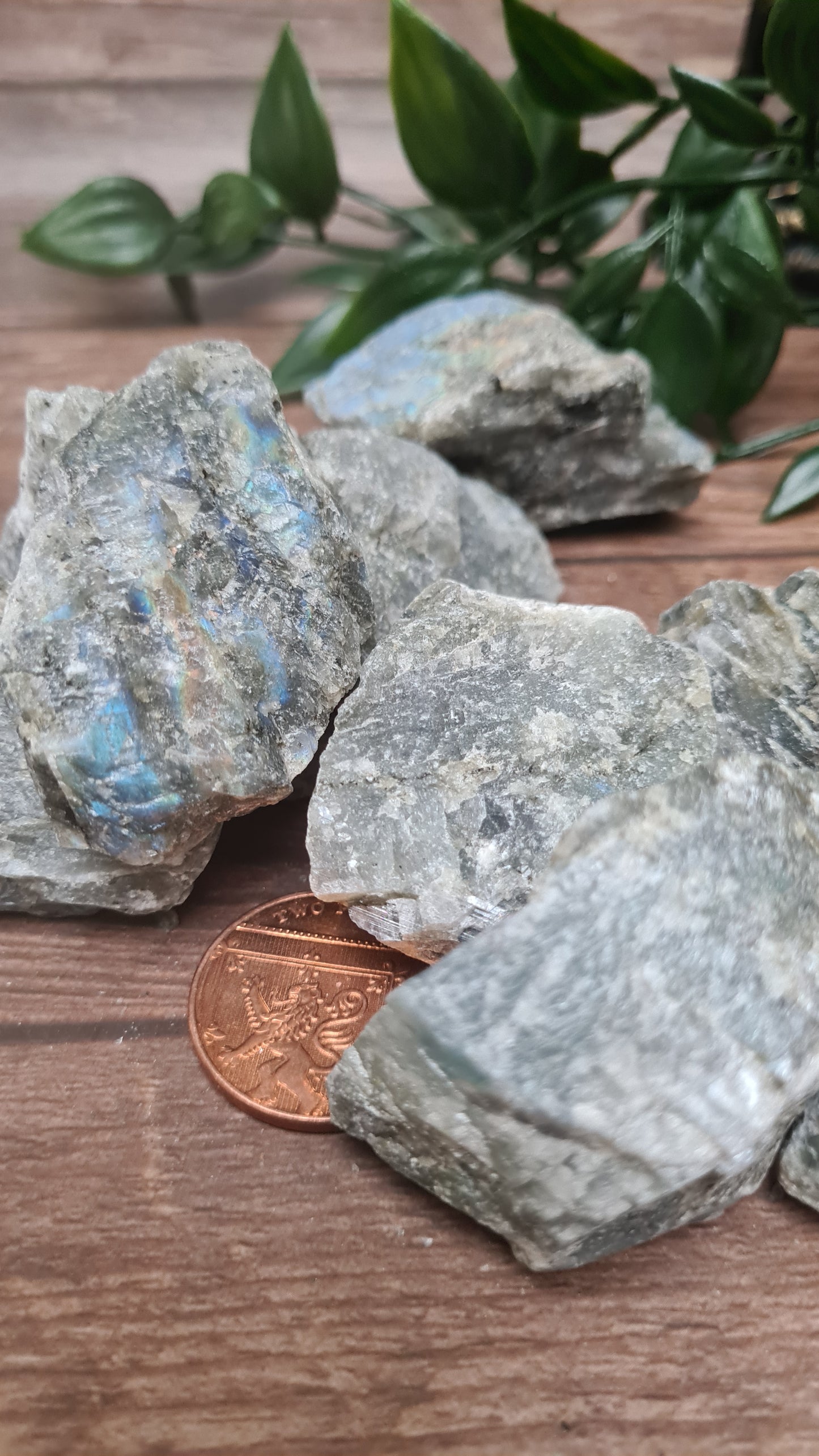 Labradorite Rough Chunks - Protection - awareness - intuition