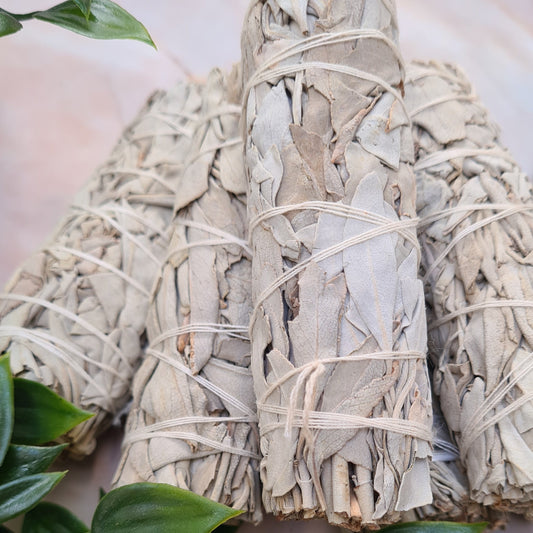 White Sage Bundle